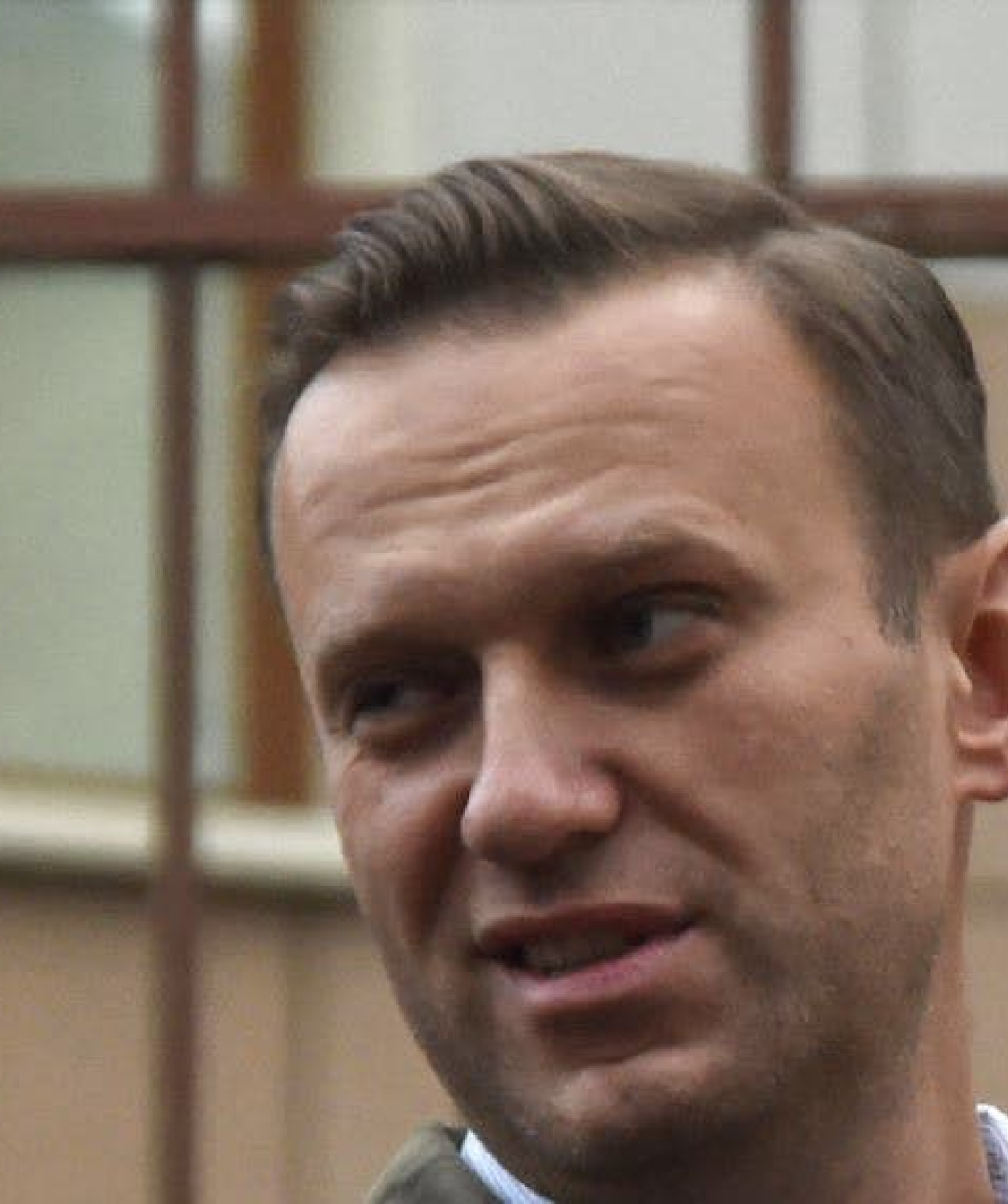 Aleksei Navalny, Putin Critic, Is Sentenced to 20 Days in Jail