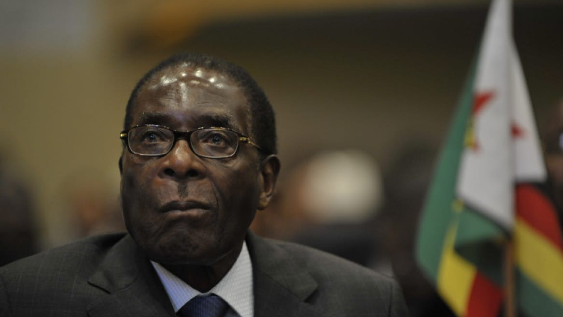 HRF Condemns WHO for Appointing Robert Mugabe as Goodwill Ambassador