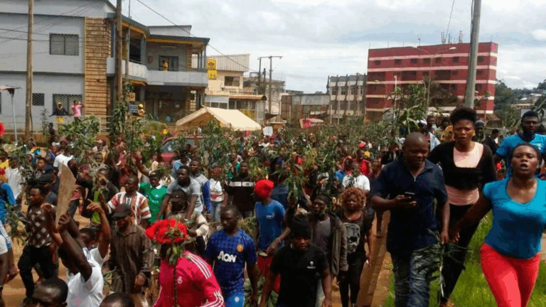 Deaths and detentions as Cameroon cracks down on anglophone activists