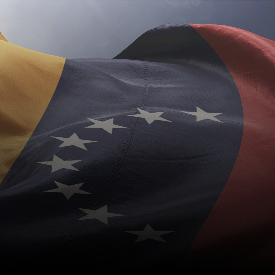 Venezuela Solidarity Fund