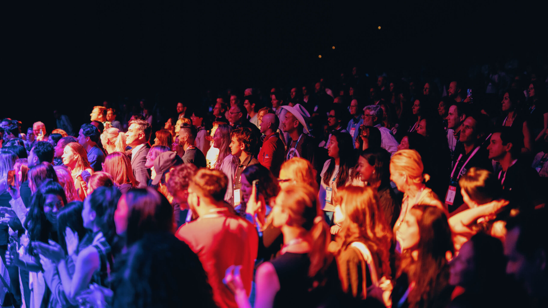 Latest Web Header - Freedom In Focus _ HRF Summer Newsletter