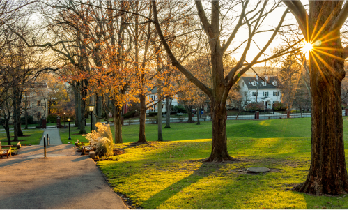 Tufts University