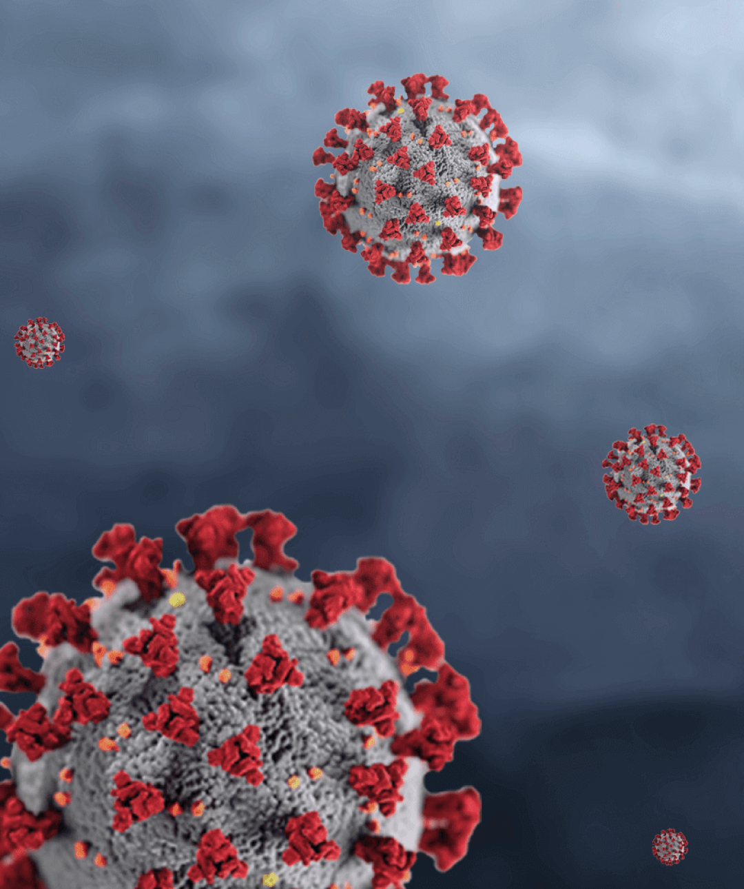 Release Iran's Imprisoned Women Leaders Mobile Header