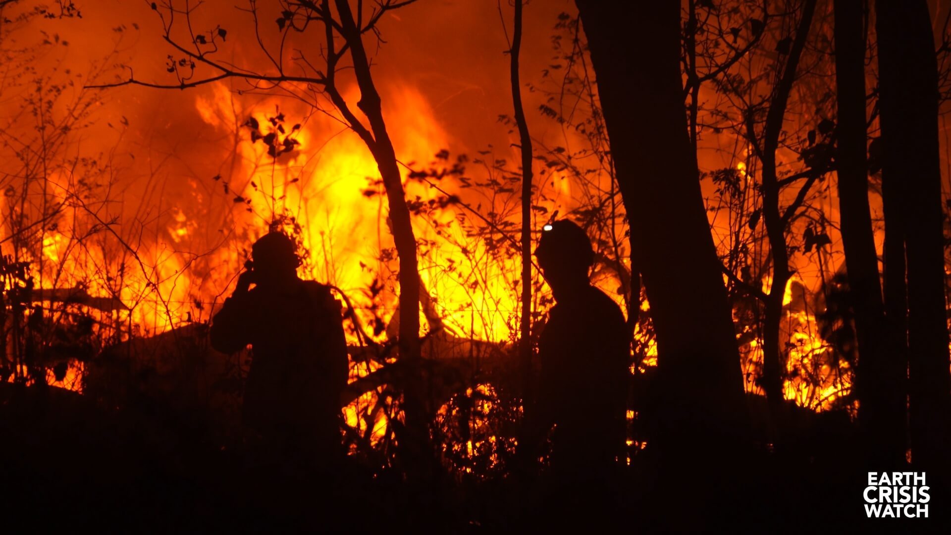 Bolivia: HRF Condemns President Morales’ Role in Forest Fires Web Header