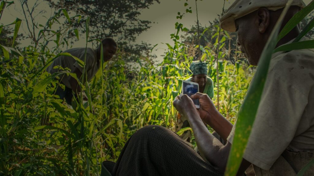 Togolose farmer using iPhone to connect to the internet
