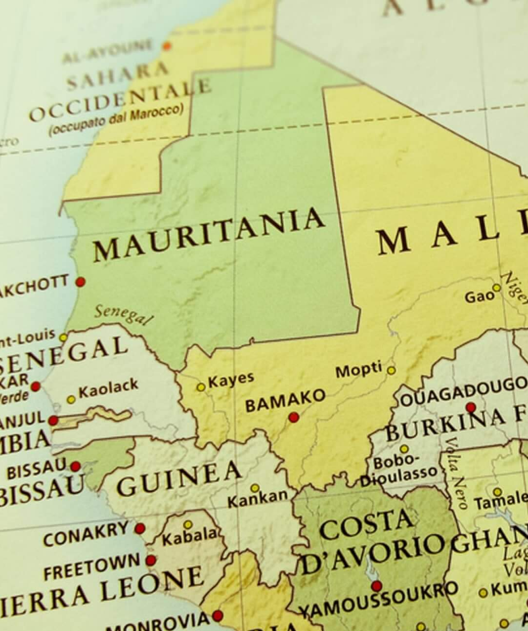 Whistleblower detained after exposing Mauritanian President’s Ponzi scheme