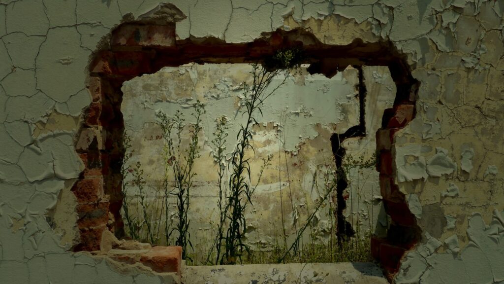 Flowers growing inside of destroyed wall