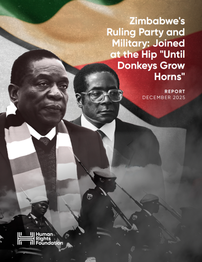 Zimbabwe's Ruling Party and Military: Joined at the Hip "Until Donkeys Grow Horns"