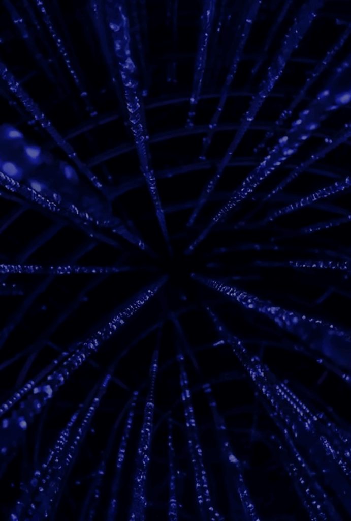 Newsletter - AI for Individual Rights