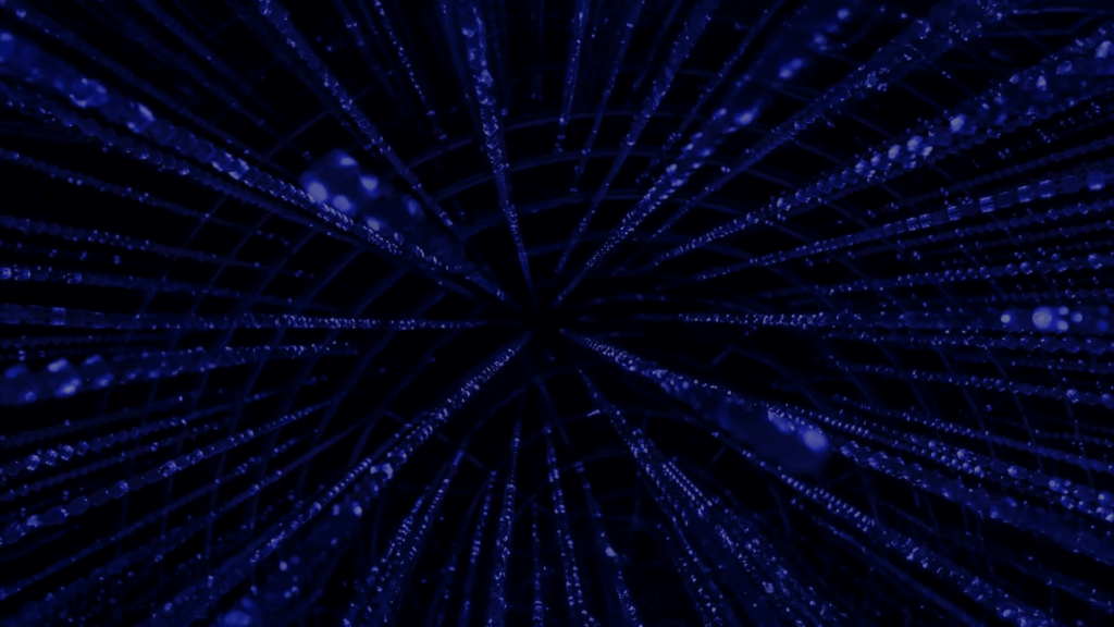 Newsletter - AI for Individual Rights