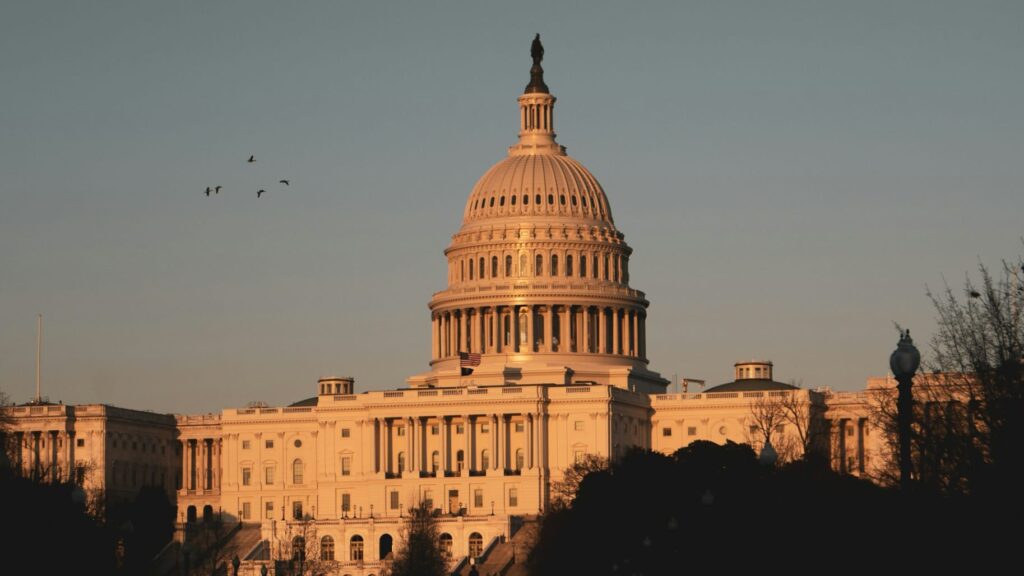 Mayer Tawfik - US Capitol Building