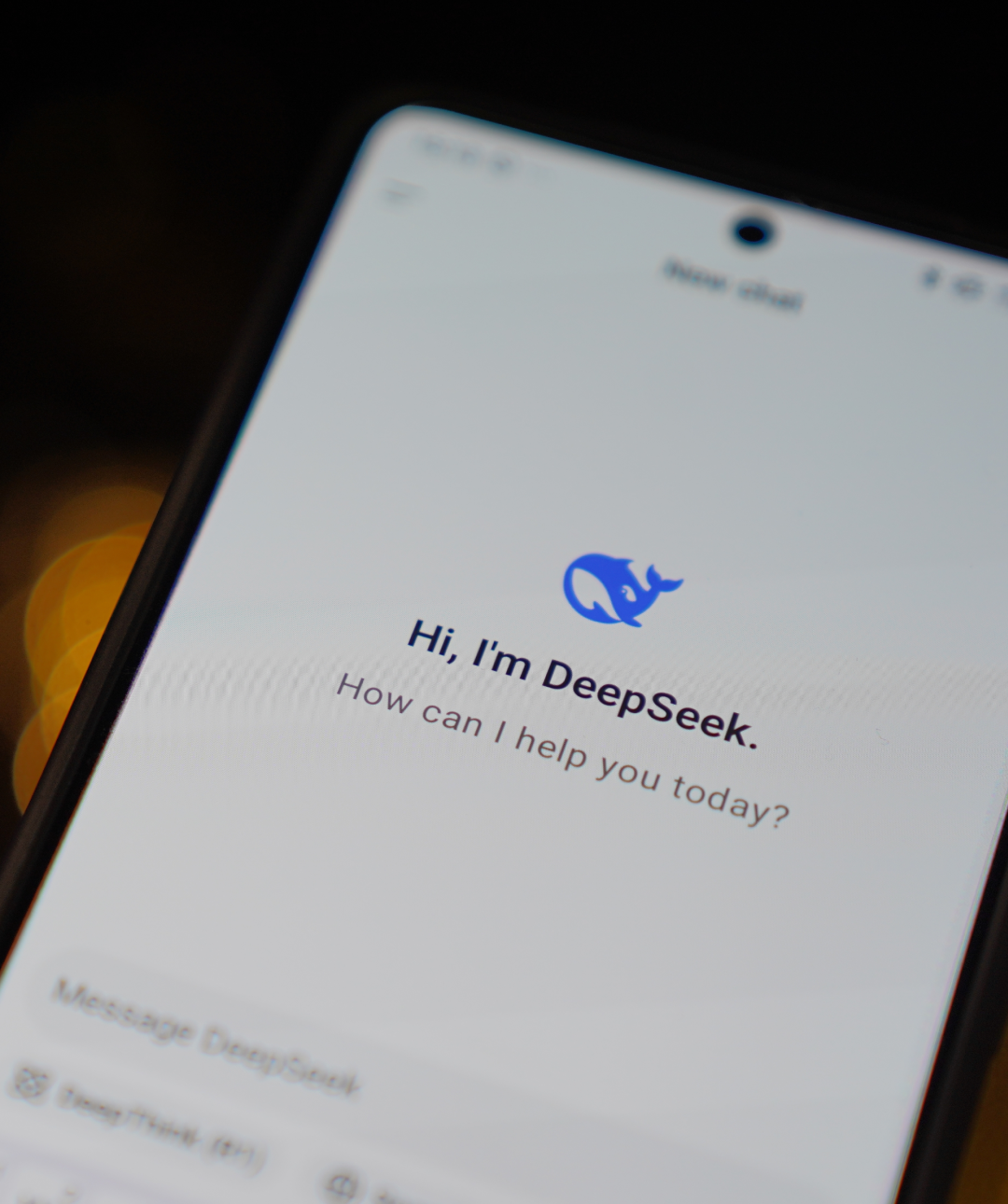 HRF’s AI for Individual Rights Newsletter #3