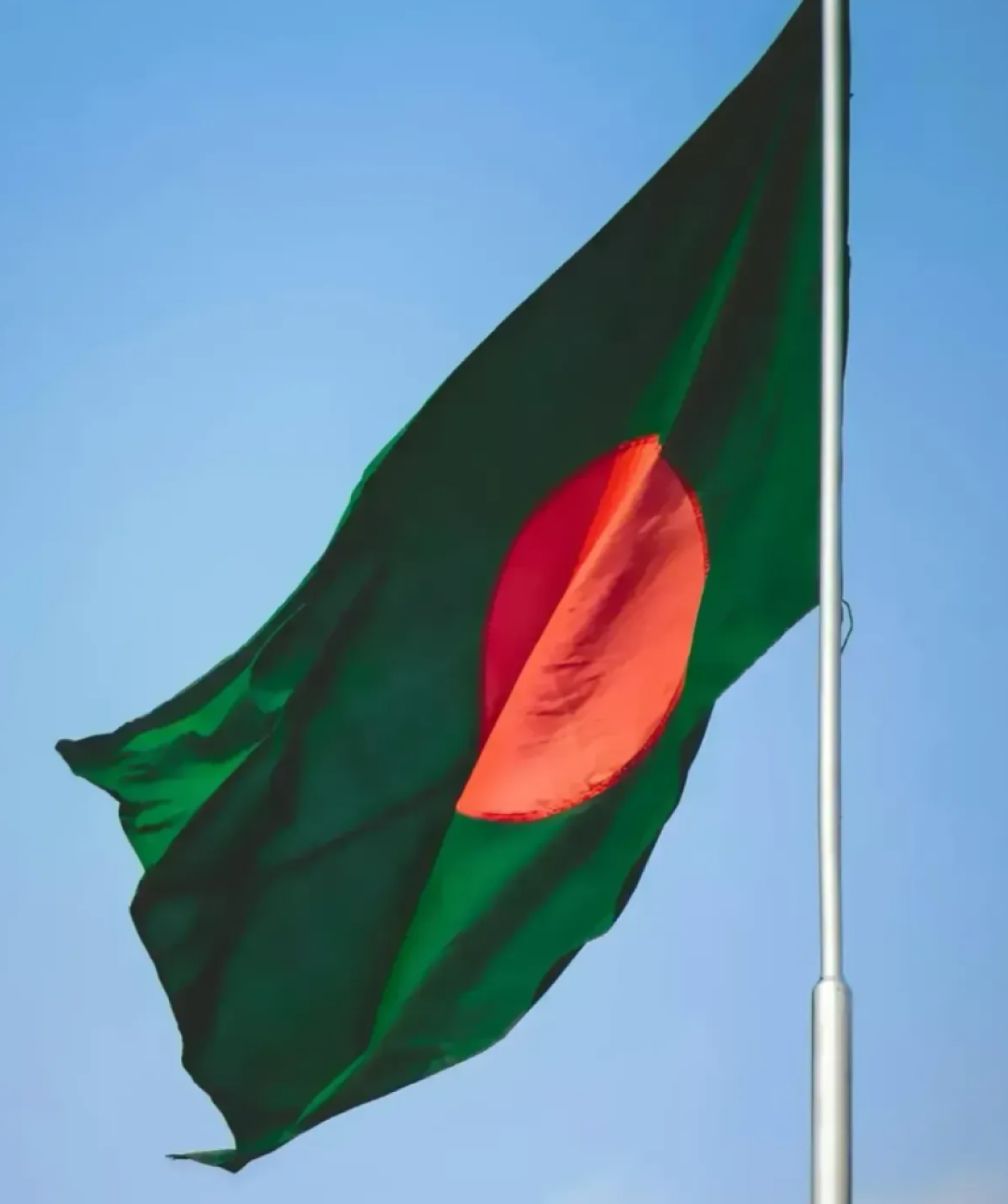 An Open Letter to Muhammad Yunus, Chief Adviser of the Interim Government of Bangladesh