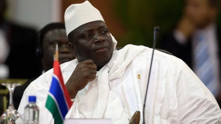 The Gambia: On the Eve of a Presidential Election, HRF Demands Release of Pro-Democracy Activists