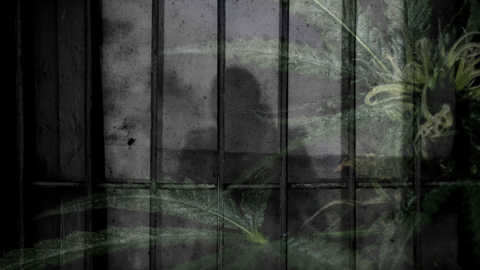 The Cost and Consequences of the War on Drugs