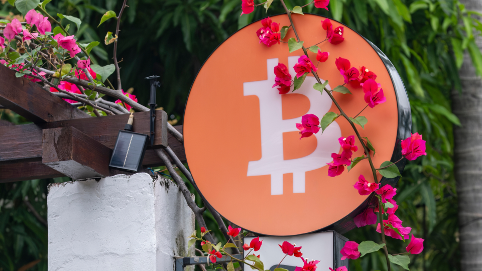 Bitcoin for Nonprofits Report