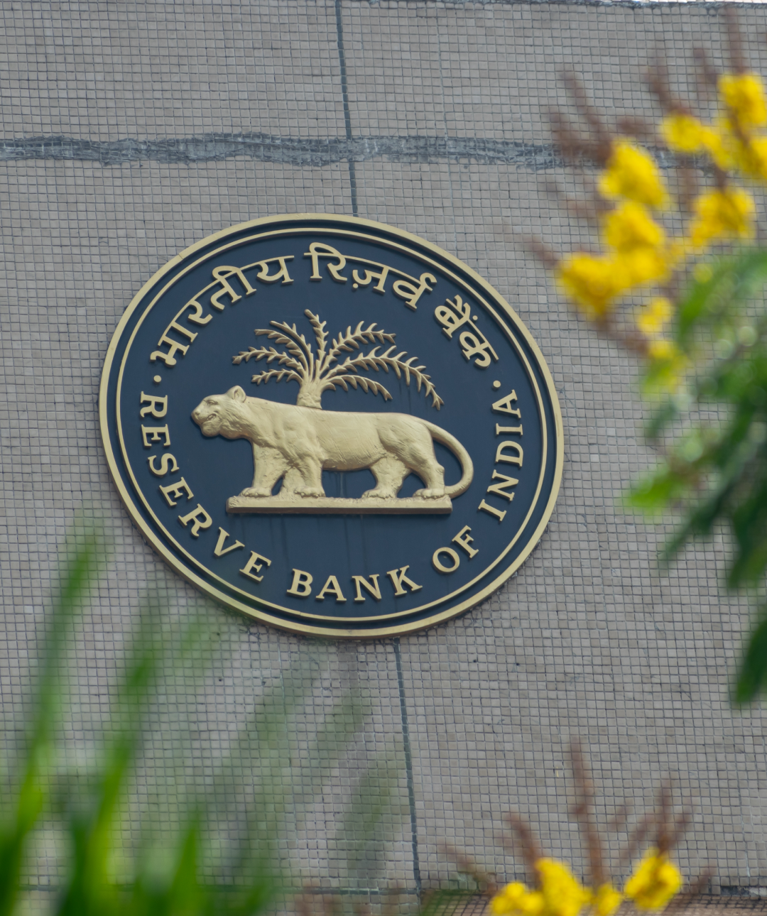 HRF's Weekly Financial Freedom Report #115
