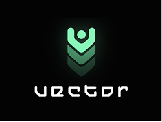 Vector Privacy