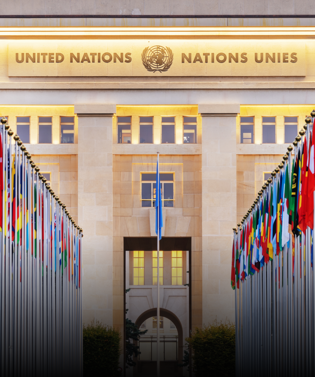HRF and Perseus Strategies Petition UN on behalf of El Salvador Lawyers Ruth López and Enrique Anaya
