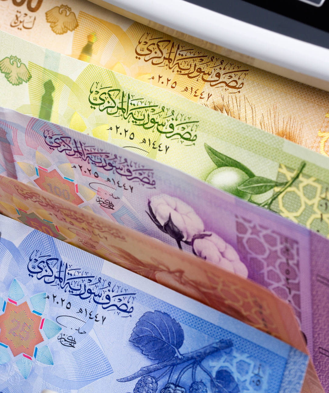 HRF’s Weekly Financial Freedom Report #132