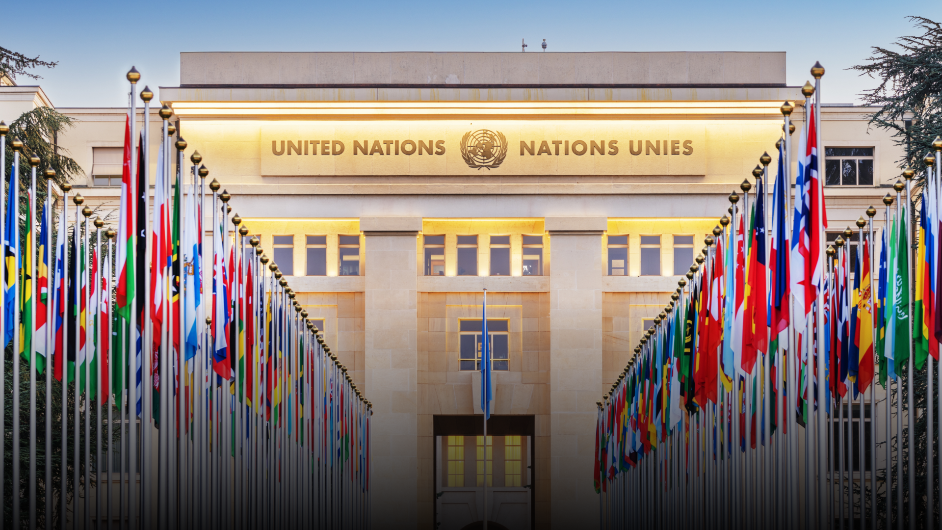 HRF and Perseus Strategies Petition UN on behalf of El Salvador Lawyers Ruth López and Enrique Anaya