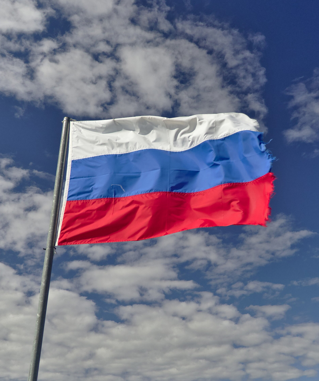 HRF Condemns WP Engine for Blocking the Tyranny Tracker in Russia at the Kremlin’s Behest