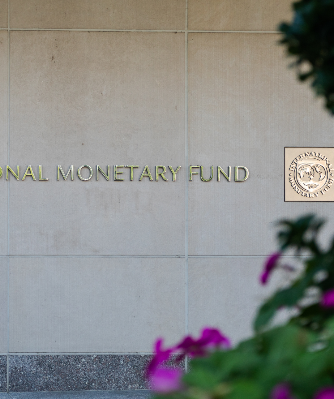 HRF’s Weekly Financial Freedom Report #137