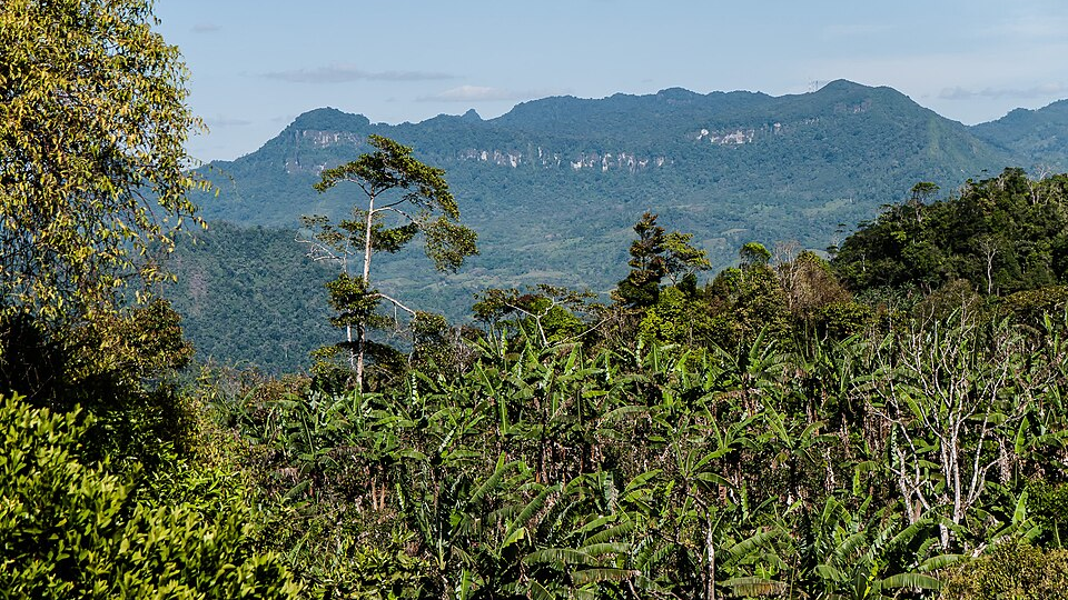 Nicaragua Report