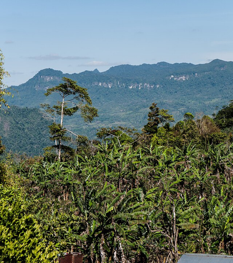 Nicaragua Report