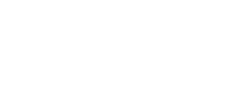 The Resilience Program