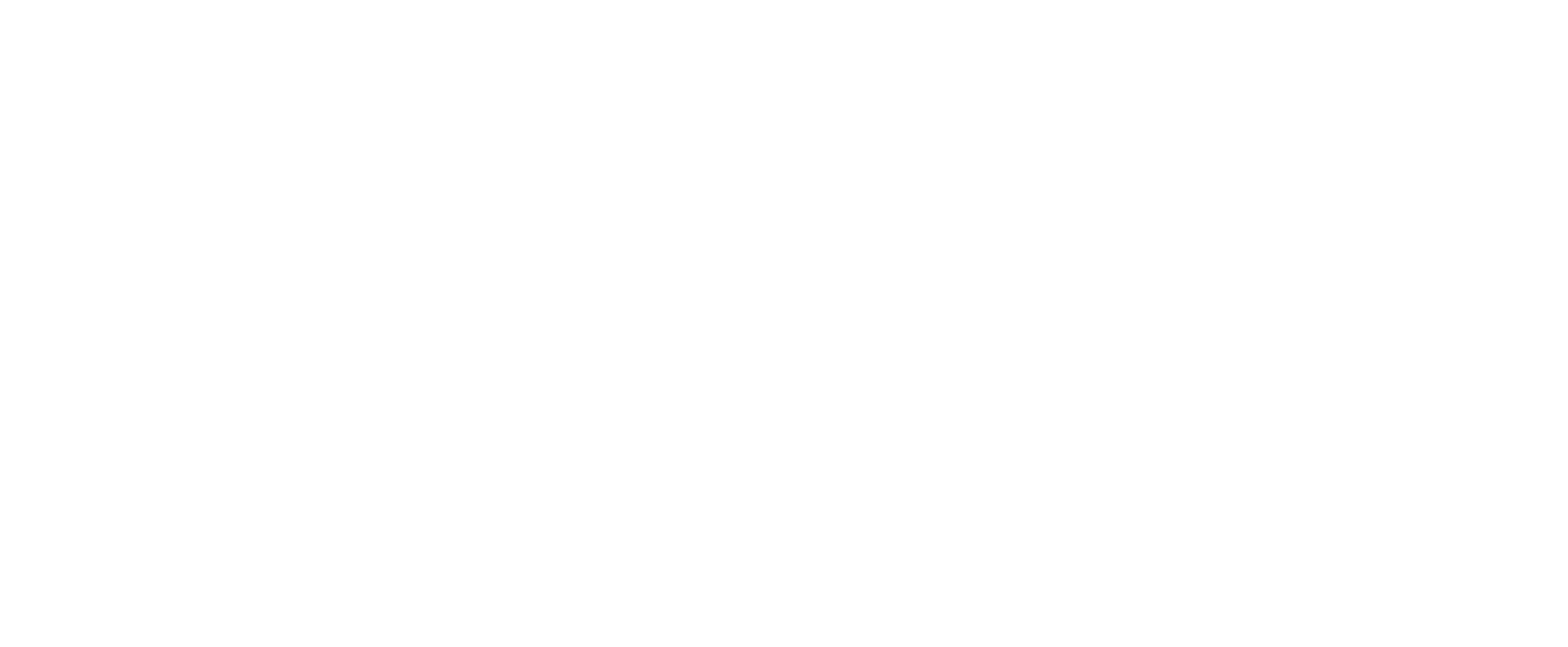 The Resilience Program