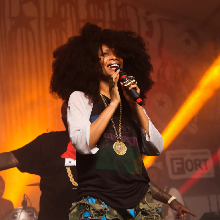 Latest Web Header - Erykah Badu’s Oppressively Apolitical Stance on Human Rights - V1